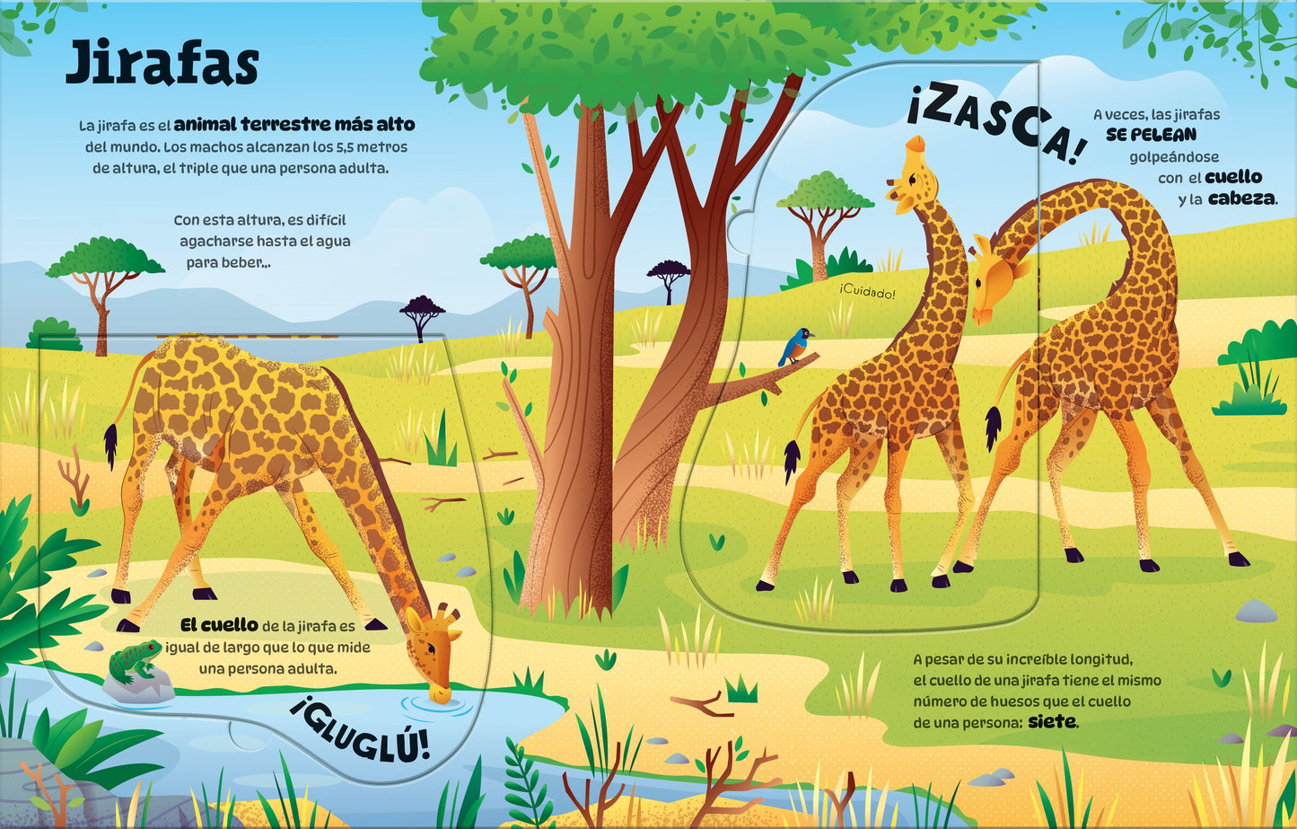 Animales grandotes (con solapas grandotas)