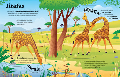 Animales grandotes (con solapas grandotas)