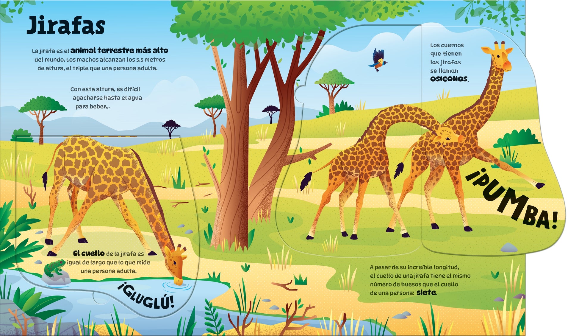 Animales grandotes (con solapas grandotas)