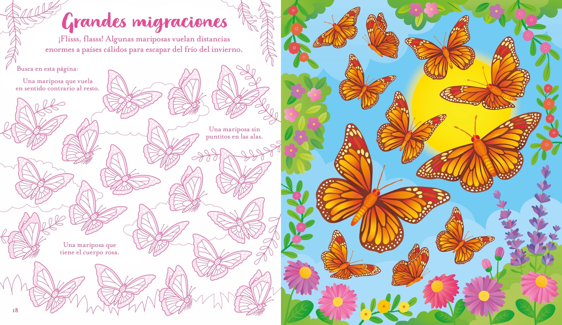 Mariposas. Rasca-rasca