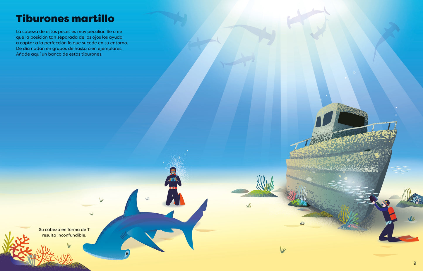 Tiburones