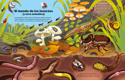 Bichitos