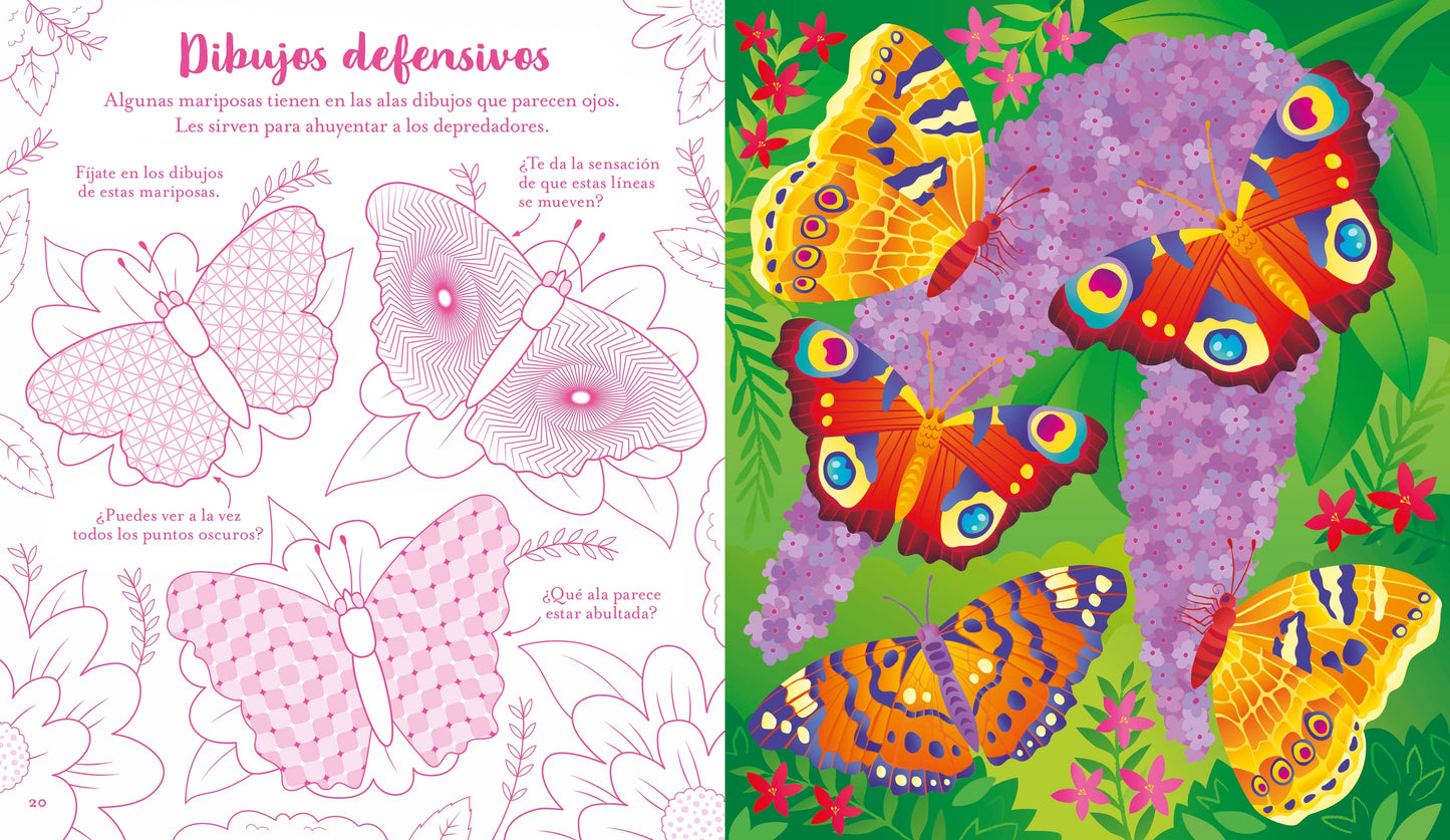 Mariposas. Rasca-rasca