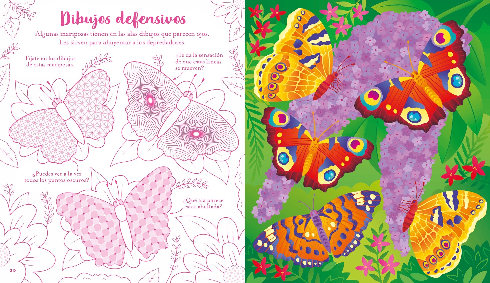 Mariposas. Rasca-rasca