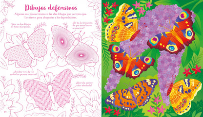 Mariposas. Rasca-rasca