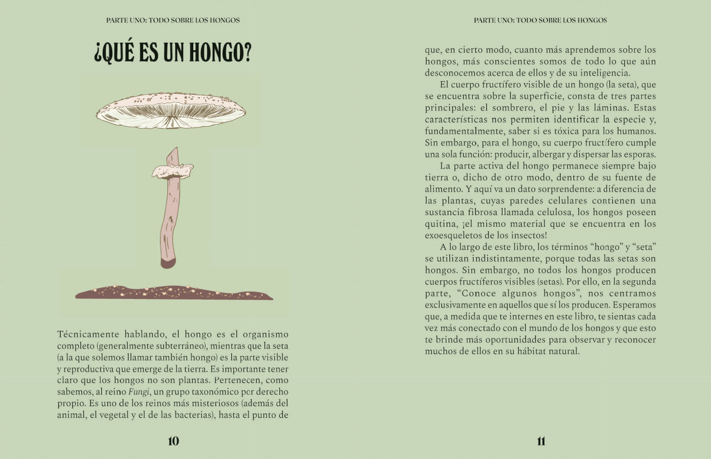 Hongos. Una guía para curiosos