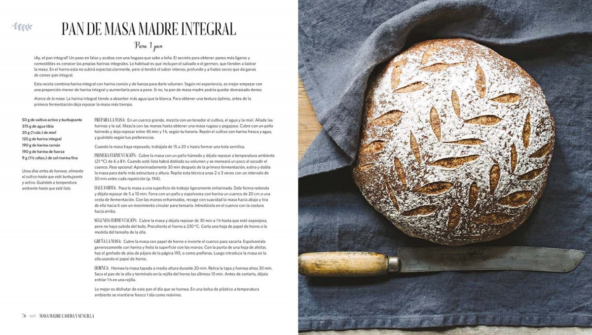 Masa madre