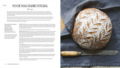 Masa madre