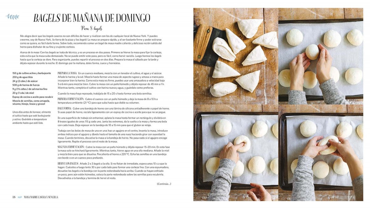 Masa madre