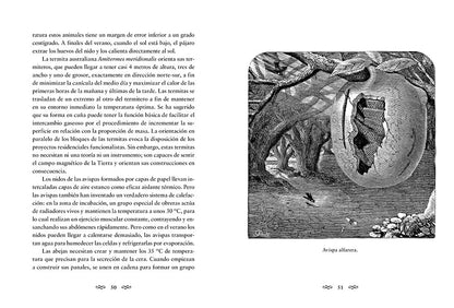 Animales arquitectos
