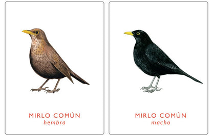 Un par de aves. Juego de memoria